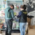 Els agents de la Guardia Cívil fent un registre a un establiment "grow shop"