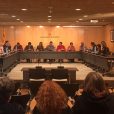 Constitució Consell Ciutadà